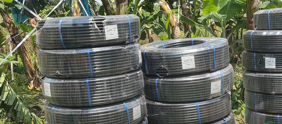 ống LDPE 20mm